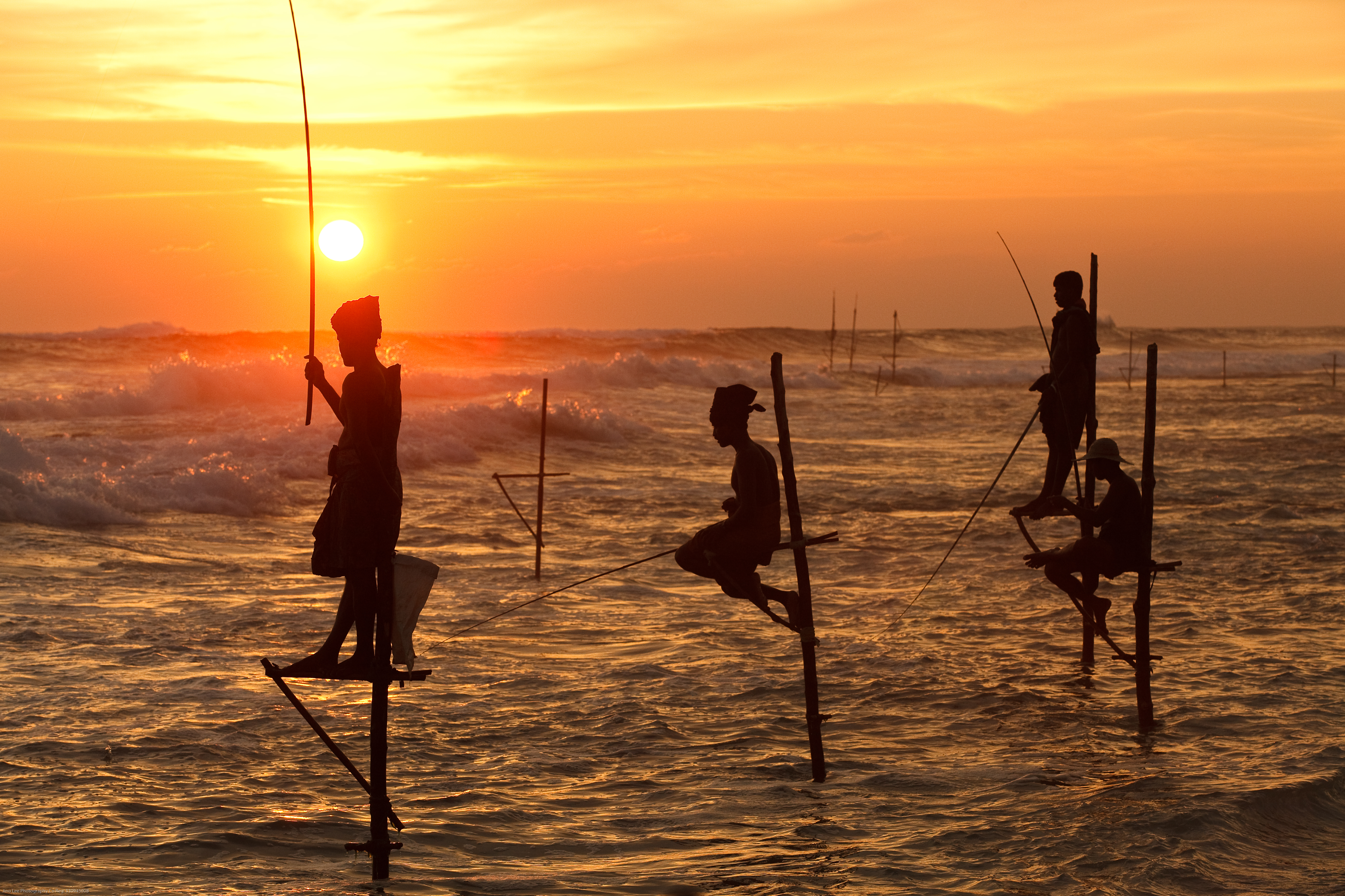 Traditional Sri Lankan stilt fishermen perched on wooden poles at sunset near Koggala Beach